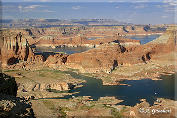 Blick vom Alstrom Point
